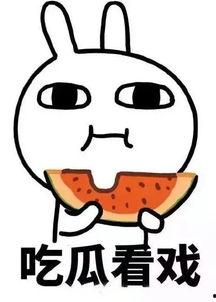 娱乐吃瓜酱记单词