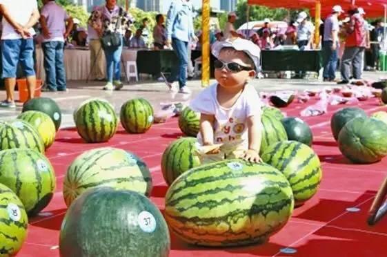 每日大赛吃瓜入口,吃瓜群众狂欢入口揭秘